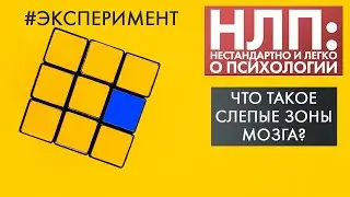 Что такое слепые зоны мозга? | Эксперимент | НЛП (2021)
