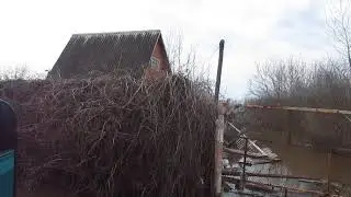 Тамбов Перикса наводнение 2018