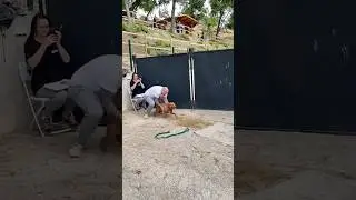 Про ПОЛЬЗУ ТРЕНИРОВОК😳 