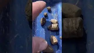 Wrap up from a successful Civil War Relic Dig! #metaldetecting #detectinghistory #civilwar #relic