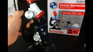 Cheapest $13 microscope with 1200X magnification (What can we see?)