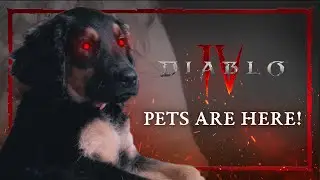 Diablo IV | Pets Are Here!