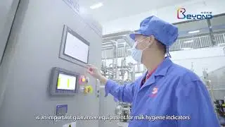 3D design Pasteurized Uht Oat Milk Processing Line with CIP system