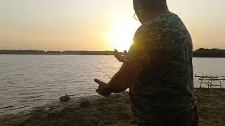 рыбалка 🐟 🎣 на куре,  толстолоб отакует
