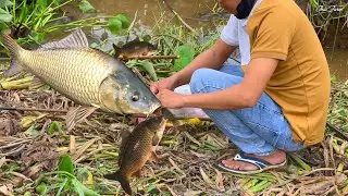 Go fishing for survival | Thái Farm