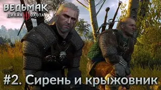 #2: Сирень и крыжовник ➤ Ведьмак 3