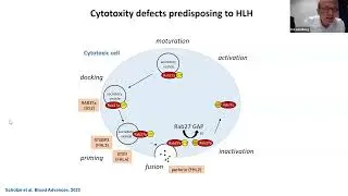 Joint Webinar: CIS & Histiocyte Society