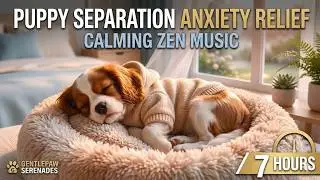 Puppy Separation Anxiety Relief - Calming Zen Music 7 Hours - GentlePaw Serenades