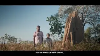 Penjaga Alam Papua: Warisan untuk Masa Depan