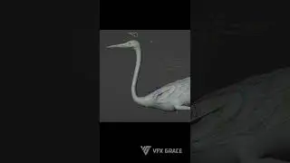 Explore the Detailed Egret 3D Model | Blender Rigging & Animation Showcase  #blender #egret