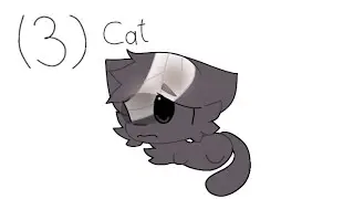 Cat 3 