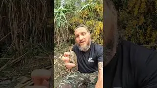 Feuerstein finden (Teil 1 von 4) Mein Geheimtipp #bushcraft #feuerstein #survival #ancestral