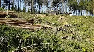 [MFØ] 🌲🆒💪🎬Skogdrift ved Kirkefjerningen i Eidsberg 2022🎬💪🆒🌲
