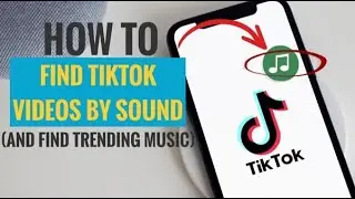 How to Find TikTok Videos by Sound