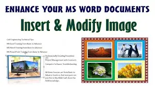 How to Insert and Modify Image in MS Word Document | Microsoft Word Tutorial