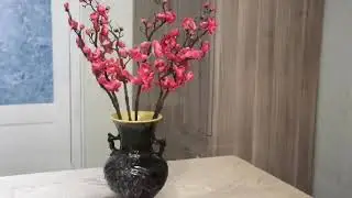 Красивые цветы для интерьера