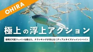 クランキングが冴えるミディアムサイズジョイントベイト【OHIRA(オヒラ)】
