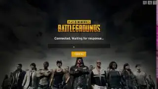 PUBG LAUNCH BUG (HELP?)