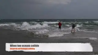 Grenen 2017