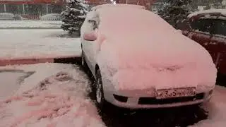 20 декабря 2020 г.