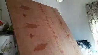 Homesteading  Adventures: Building Our Dream Tiny Home: DIY Plywood Ceiling: Day 1