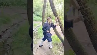 Школа Девяти сокровищ ворот Дракона. Кулачные методы внутренней семьи.