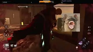 californication's highlights dbd 40