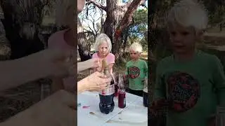 🧪 Mentos & Coke Experiment 👩‍🔬Does It EXPLODE?!  #homeschooling #science #explosion