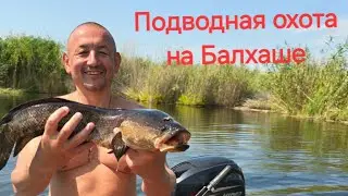 Подводная охота на Балхаше.