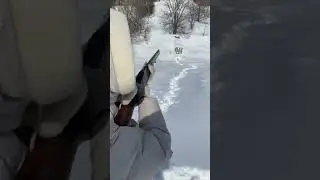 Первый выстрел жены из ружья ИЖ 27 М-М
