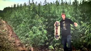 If Smoking Was A Sport - Hizzey- Official Music Video
