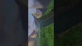 Real World View Mod in | Minecraft | #gaming #gamer #minecraft