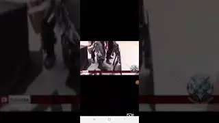 Белые целуют афроамериканцам ноги !!!!!!