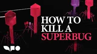 Fighting Antibiotic Resistance with Phage Therapy