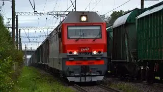 СВИНЯРА С БОБРАМИ - 2ЭС6-731