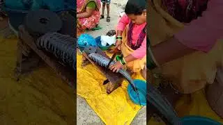 #fishcutting #fishcutting_skills #fishcuttingskills #india #fishcuttingskill #fishing #fisherman