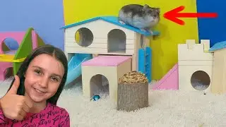 Awesome Hamster Playground - Hamster Swing and Playhouse Slide Tunnels and Sandbox