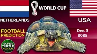Netherlands vs USA ⚽ FIFA World Cup 2022 | 🐢 Turtle Football Predictions