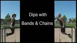 Primal Fitness Systems Dips with Bands and Chains