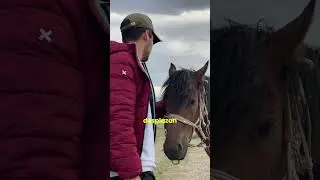 Esto es lo que no sabías de las tribus nómadas en Mongolia😱