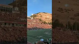 The Montana Grizzlies have an electric home environment #fcsfootball #montana #collegefootball