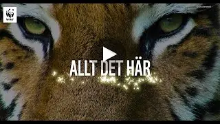 Tack för 2023