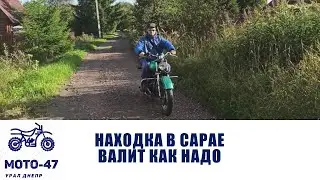 Старый друг лучше новых двух. Находка в сарае. Куда я пропал.