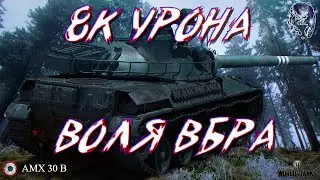 8к урона • Воля ВБРа