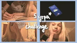 ВСТАЮ В 5 ЧАСОВ УТРА КАЖДЫЙ ДЕНЬ ⏰