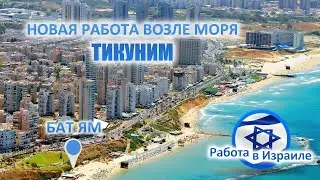 Новая работа возле моря - ТИКУНИМ