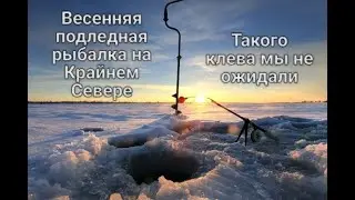 Подледная рыбалка в Якутии