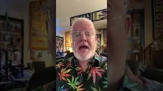 S&W Live! Today Sunday September 1,2024 at 4:00PM(EST) #theidiotquilter