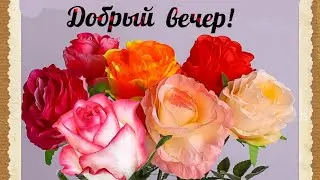 ДОБРЫЙ ВЕЧЕР 🤗❤️