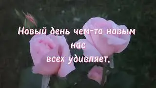 С добрым утром!!!